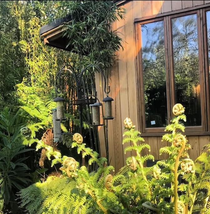 Jungle Cabin Martin Mill Exterior photo