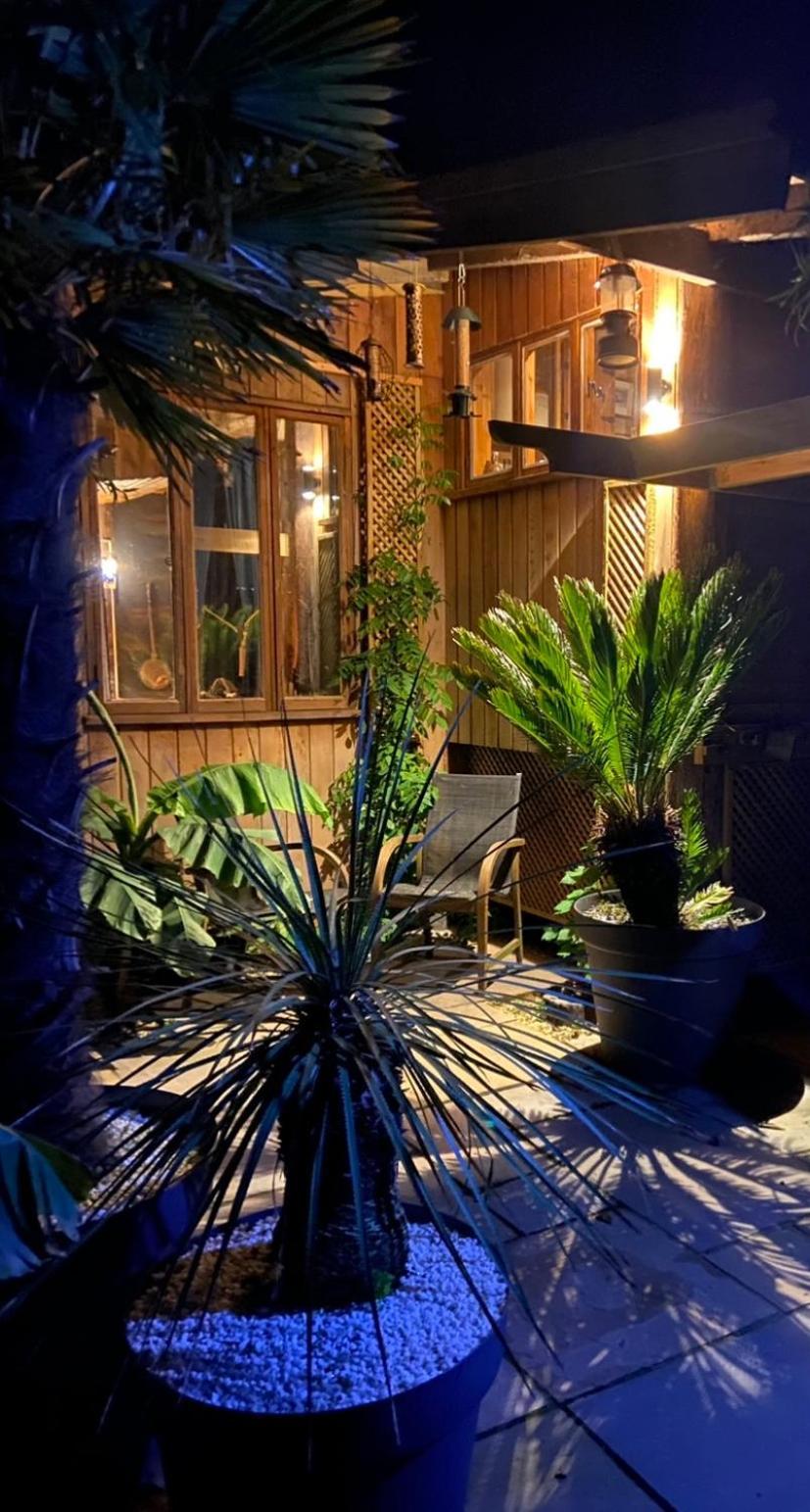 Jungle Cabin Martin Mill Exterior photo