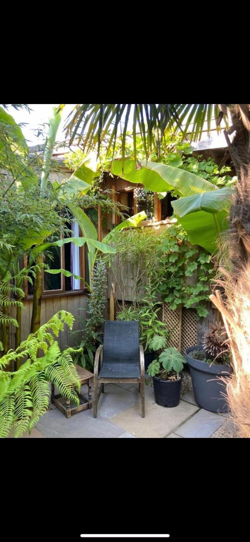 Jungle Cabin Martin Mill Exterior photo